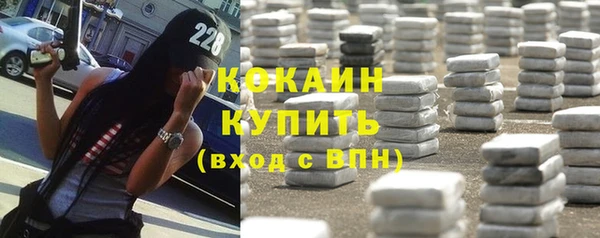 индика Володарск